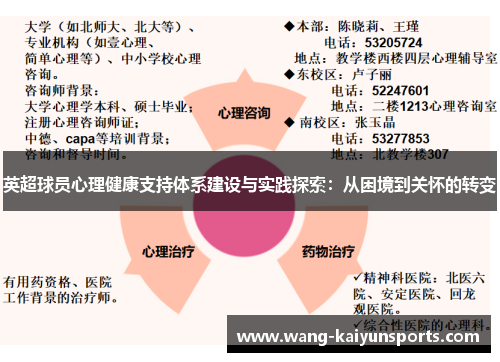 英超球员心理健康支持体系建设与实践探索：从困境到关怀的转变