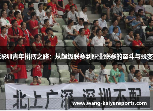 深圳青年拼搏之路：从超级联赛到职业联赛的奋斗与蜕变