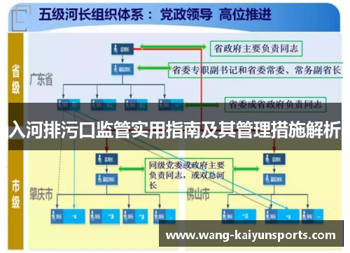 入河排污口监管实用指南及其管理措施解析