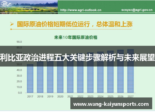 利比亚政治进程五大关键步骤解析与未来展望