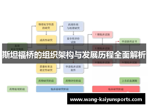 斯坦福桥的组织架构与发展历程全面解析